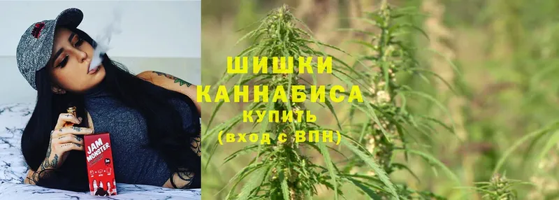 купить наркоту  mega как зайти  Канабис Bruce Banner  Терек 